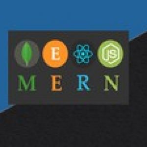 Master the MERN STACK - by building a project!