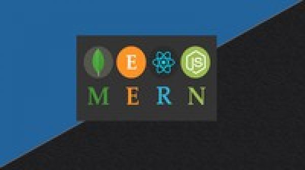 Master the MERN STACK - by building a project!