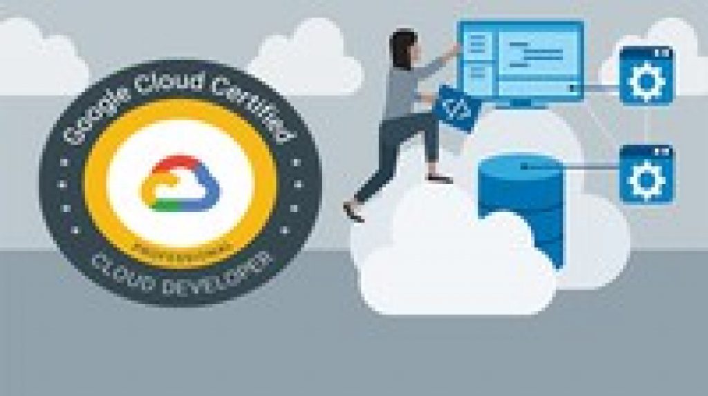 Test Professional-Cloud-Developer Engine