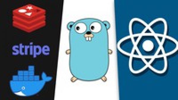React, NextJS and Golang: A Rapid Guide - Advanced