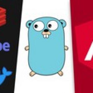 Angular Material, Universal and Golang: A Rapid Guide