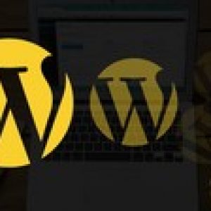 Installing WordPress 5 - Registrars, Hosting & Essentials
