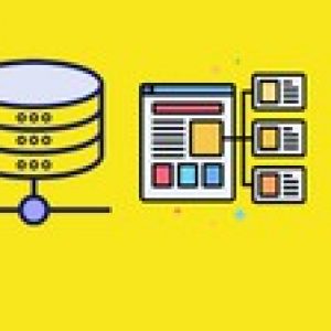 SQLite Databases | Python Programming: (Build App and API )