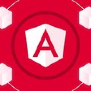 Angular Fundamentals from Scratch & Unit/Integration Testing