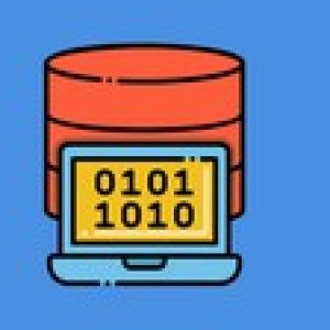 Build Database Driven Apps with : SQL Server , C# , Python