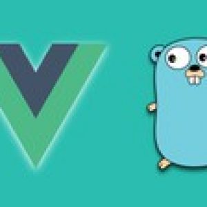 Vue 3 and Golang Authentication: Forgot & Reset Password
