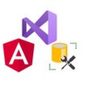 Angular 12, .NET Core Web API & Microsoft SQL full-stack app