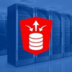 RESTful Services in Oracle APEX - The Complete Guide (2021)