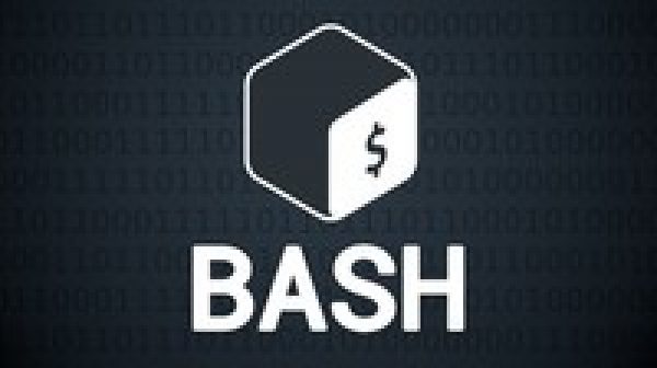 Bash Shell Scripting: Up & Running for Beginners