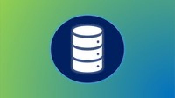 Microsoft SQL for Beginners