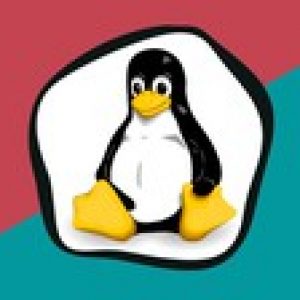 Practical Linux Command Line - The Basics You Really Need
