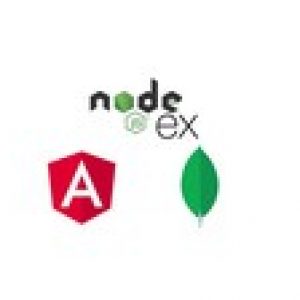 Node, Express JS, Angular 12 & Mongo DB web app development