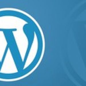 Learn Wordpress Now: Wordpress for Beginners