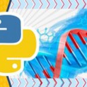 The Ultimate Beginners Guide to Genetic Algorithms In Python
