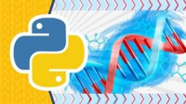 The Ultimate Beginners Guide to Genetic Algorithms In Python