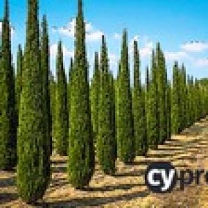 Master Cypress 8 in 15 minutes a day