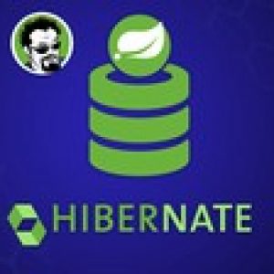 Hibernate and Spring Data JPA: Beginner to Guru