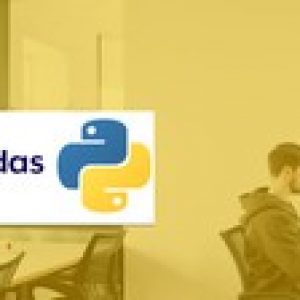 Complete Hands On Pandas Bootcamp with a Real World Project