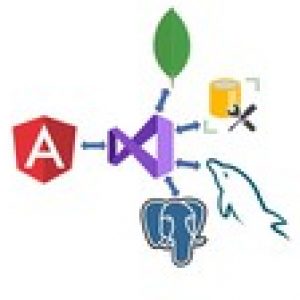 Angular 12 and .NET Core Web API Full Stack Master Course