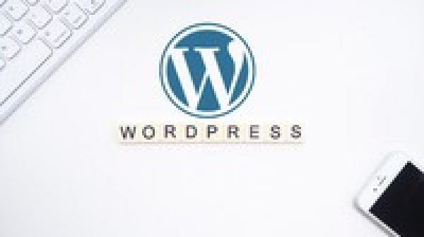 WordPress Website: Design, SEO and Security for Beginners