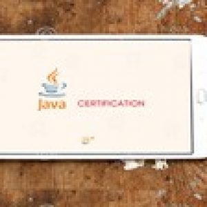 Java SE Associate Programmer I Certification practice Test