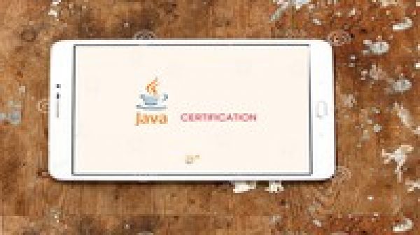 Java SE Associate Programmer I Certification practice Test