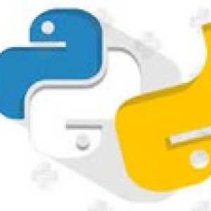 The Complete Python Masterclass : Become a Python Engineer