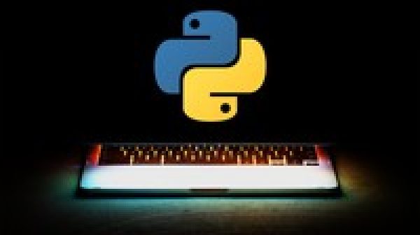The Python Programming Language 2021 Course
