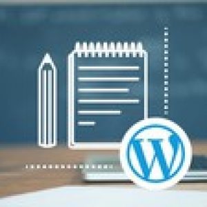 WordPress Theme Development with Project