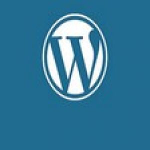 WordPress: Clueless To Professional Web Developer