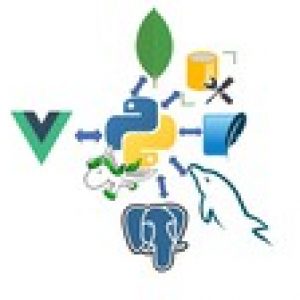 Vue JS and Python Django Full Stack Web Development Course