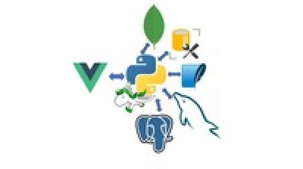 Vue JS and Python Django Full Stack Web Development Course