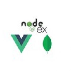 Node, Express, Vue JS and Mongo DB full stack development