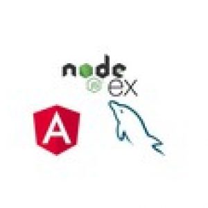 Node, Express, Angular 12 & MySQL full stack web development