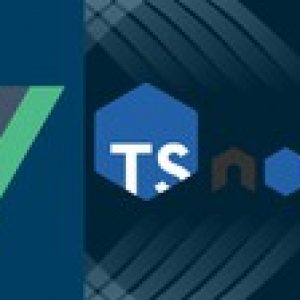VueJS and NodeJS: A Practical Guide with Typescript