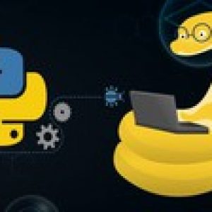 Python For Beginners with real time examples- 2022