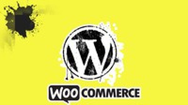 Wordpress/Woocommerce plugin development