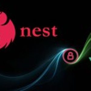 The Ultimate Authentication Course with NestJS and VueJS
