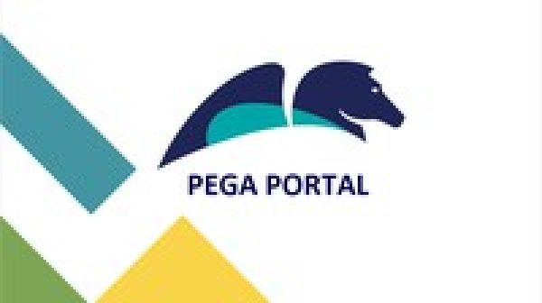 The Complete Pega Developer course by Pega Portal - Rakesh