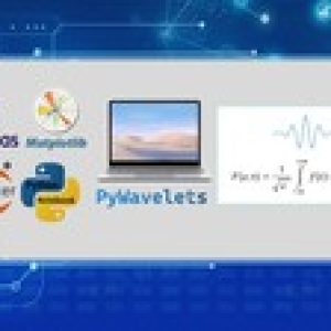 Practical Python Wavelet Transforms (I): Fundamentals