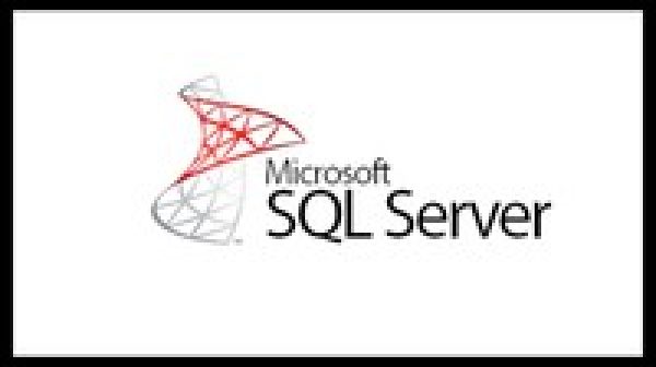 SQL Server Course for Beginners with 100+ examples