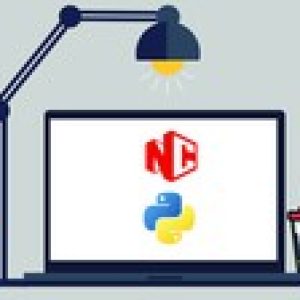 Python 101: Learn to Program in 14 Days