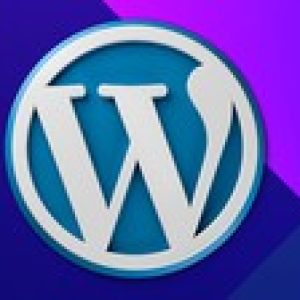 Master Wordpress Quickly: In an hour-Become a Freelancer