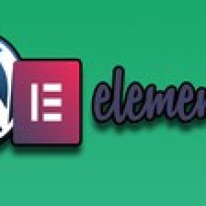 Wordpress Elementor Course: Develop Site Without Coding