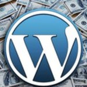 WordPress Full guide 2022, develop investment website