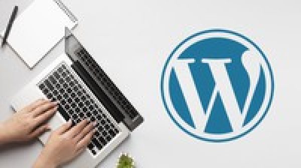 WordPress Crash Course for Beginners - DIY Business Website