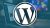 The WordPress Bootcamp: Build 11 Websites with WordPress