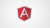 AngularJS Made Easy for People in Hurry